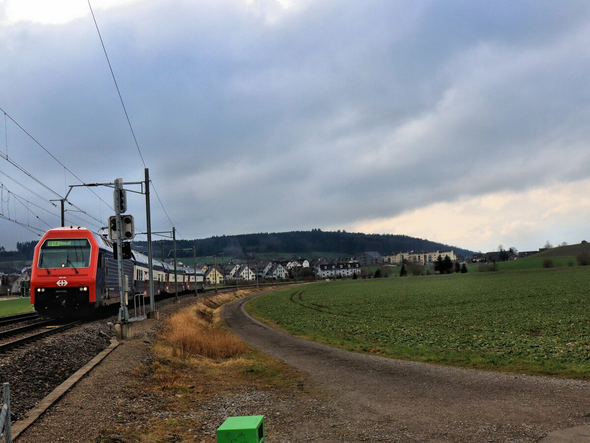 An der Strecke Zug - Zürich via Affoltern am Albis: Ein Zug der S14, geführt von Re 450 020, zwischen Hedingen und Bonstetten-Wettswil. 6.Februar 2023  