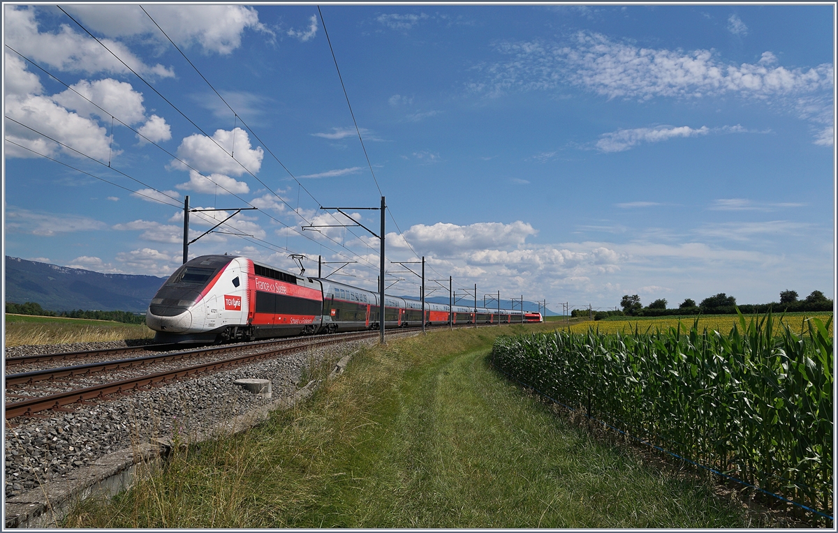 Der TGV Lyria 9261, geführt vom Triebzug N° 4721, hat kurz vor Arnex sein Ziel Lausanne schon fast erreicht. Kurz vor Arnex beschreibt die Trasse einen weiten, offen 180° Bogen, der jedoch vom Gelände, der Vegetation und Sonnenstand her kaum als ganzes ins Bild zu bekommen ist. Ich wählte hier den Nachschuss, da der Zug auf dem fototechnisch günstigen Gleis fuhr, der gehobene Stromabnehmer dabei aufs Bild kam und der  Nachschuss  von der Spitzen/Schlussbeleuchtung kaum auffällt.

14. Juli 2020