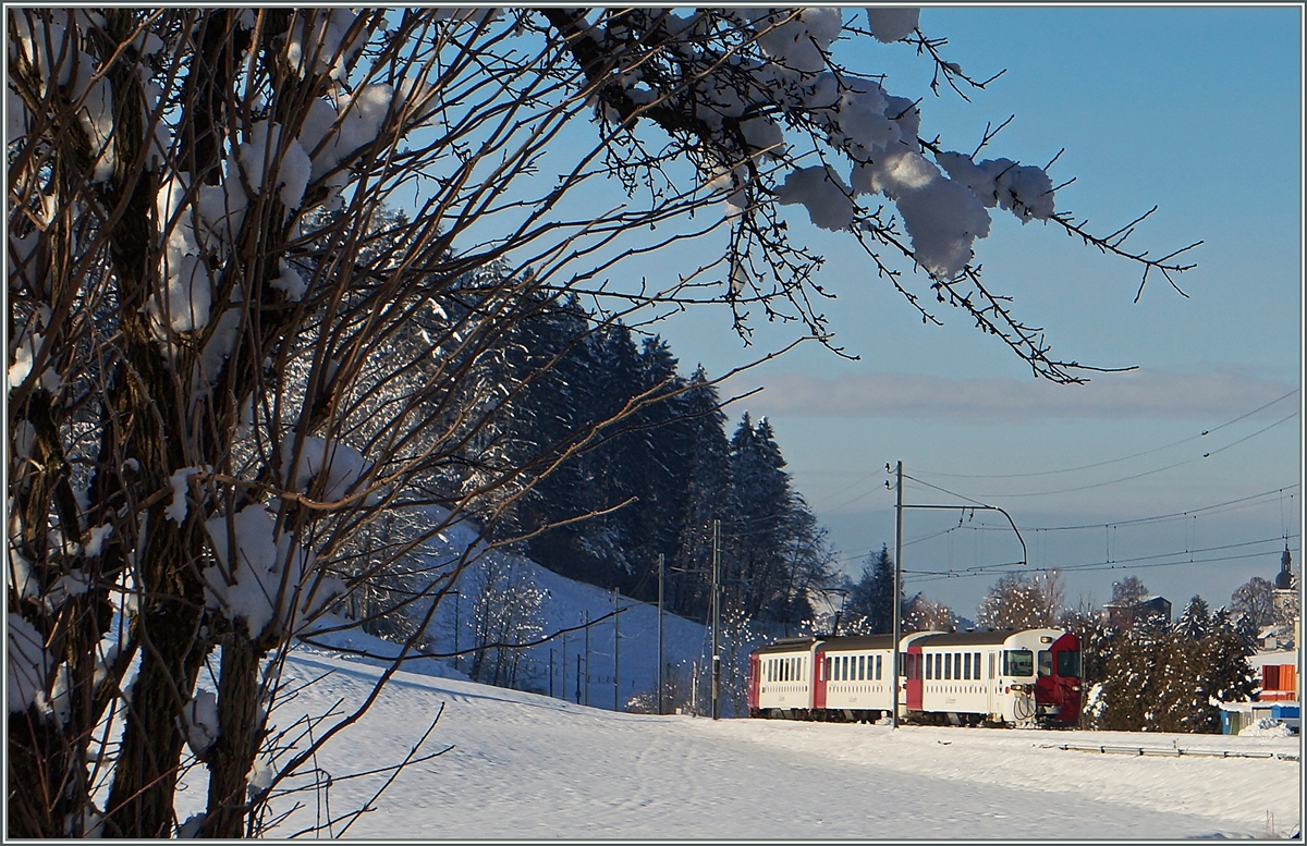 Der TPF Regionalzug (S51) 14858 von Palézieux hat sein Ziel Châtel St-Denis fast erreicht.
21. Jan 2015