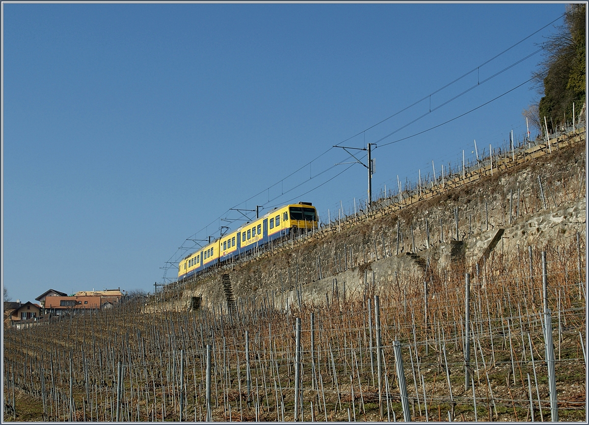 Der  Train des Vignes  in seinem Element zwischen Himmel und Erde bei Chexbres.
24. Jan. 2011 