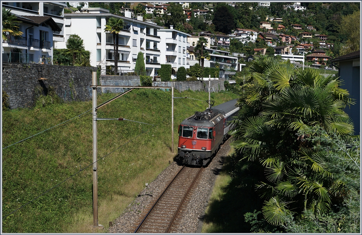 Die SBB Re 4/4 II erreicht mit ihrem Gotthard IR in Kürze Locarno.
19. Sept. 2016