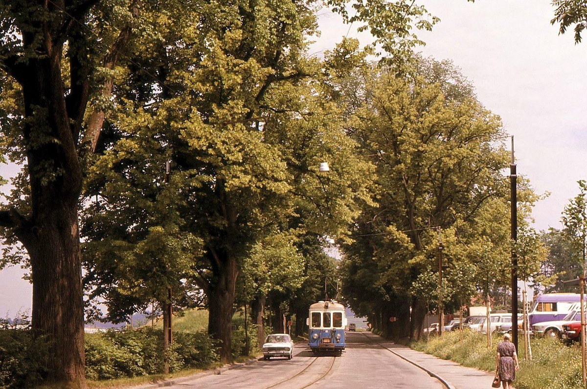 Ehemalige Vereinigte Bern-Worb-Bahnen VBW, Bern Kornhausplatz - Bolligen - Worb-Linie: Zug Steuerwagen 81 und Triebwagen 38 kommt von Ittigen her durch die Allee bei Eyfeld zum Stadion Wankdorf, wo er auf das Berner Tramnetz übergeht, 28.Juni 1973 
