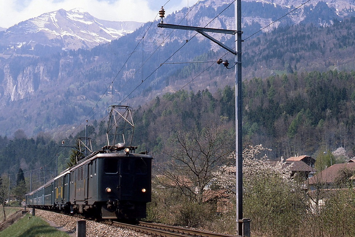 Eine Deh 4/6-Doppeltraktion der Brnigbahn ist Anfang Mai 1981 am Brienzersee bei Ringgenberg untertwegs