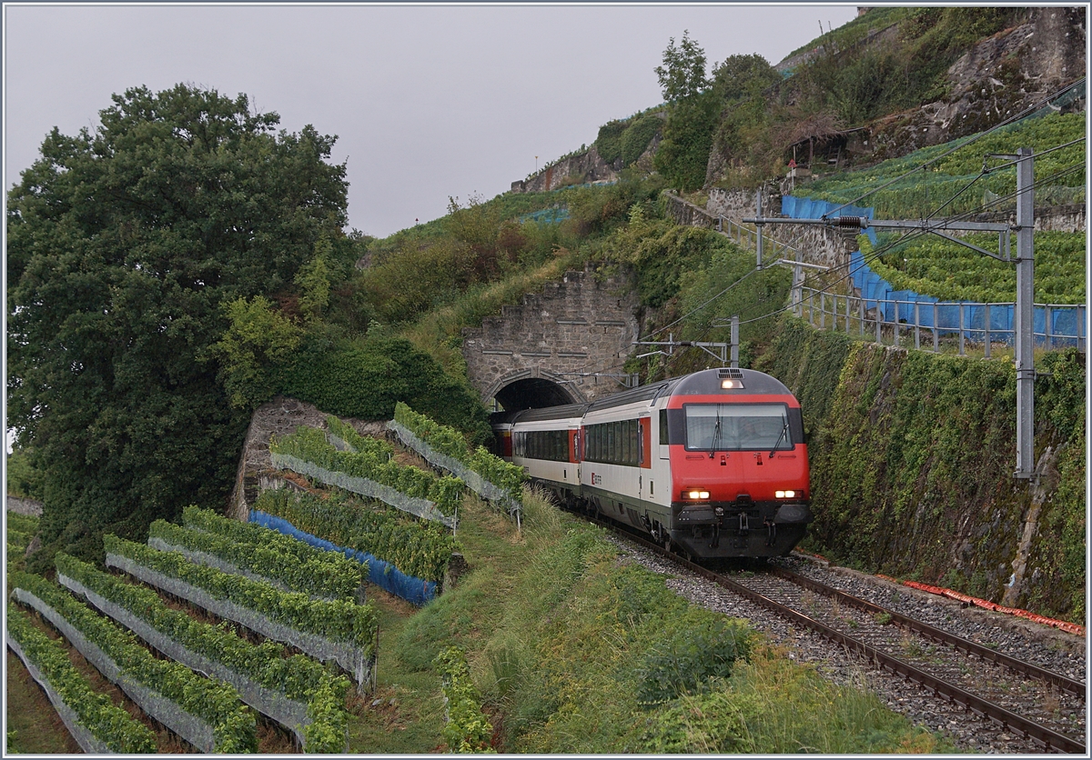 Impressionen vom nicht so gelungenen ersten  Umleitungswochenende  über die  Train des Vignes  Strecke infolge baubedingter Streckensperrung Vevey- Lausanne. 

Ein IR/RE auf der Fahrt nach Vevey oberhalb von St-Saphorin. 

29. August 2020