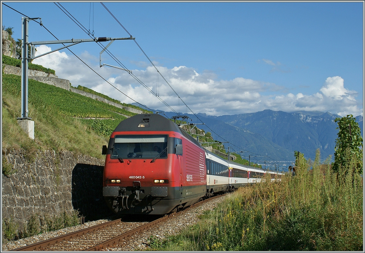 Infolge baubedinger Sperrung der Strecke Puidoux-Chexbres - Lausanne wurden die IR Luzern - Genève ab Puidoux-Chexbres statt nach Genève nach Vevey geführt wo sie dann für die Rückfahrt nach Luzern wendeten. Hier ist die Re 460 042-5 mit ein IR von Vevey nach Luzern in den Weinbergen bei Chexbres zu sehen. 5. Sept. 2009