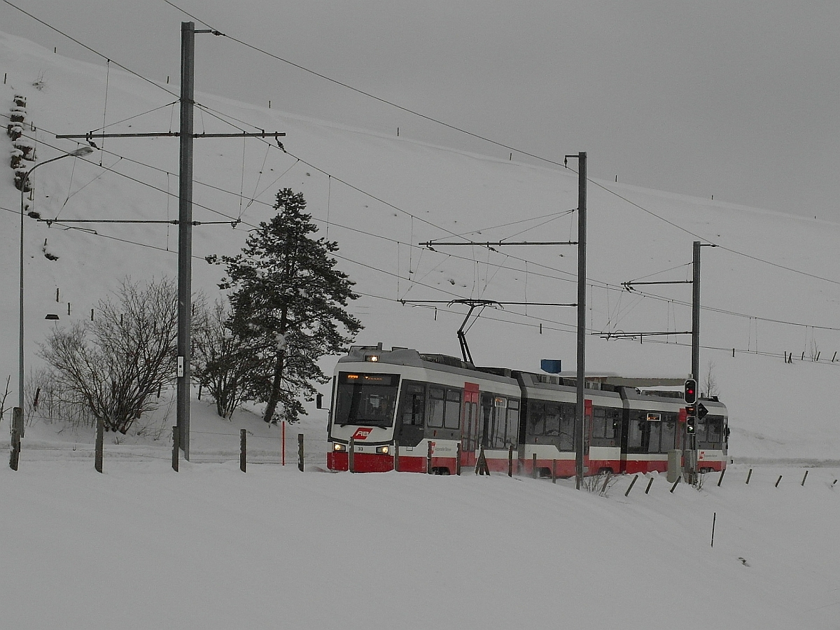 Kurz vor der Haltestelle 'Schwarzer Bären' fährt Triebwagen Nr. 33 'Speicher' am 01.02.2015 als S21 4150 von St. Gallen kommend nach Trogen.