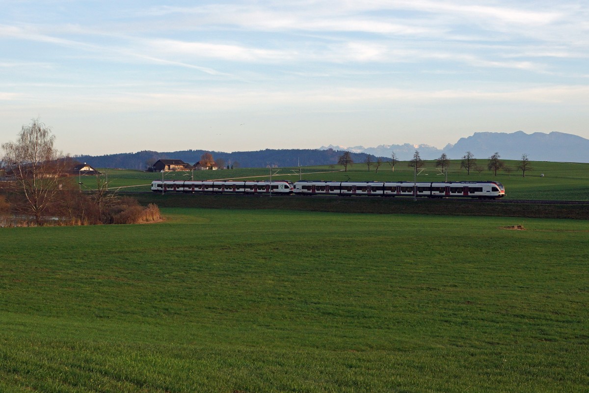 SBB: Eine Doppeltraktion FLIRT als Regionalzug Olten-Luzern wrend der Abenddmmerung bei Wauwil am 10. November 2015.
Foto: Walter Ruetsch 