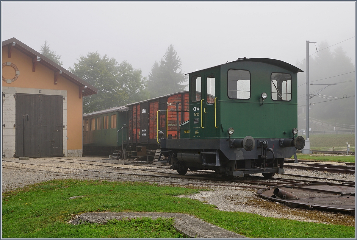 Spitzmaus in Grün und mit UIC Nummer: der CTVJ Tm I 102 (UIC 98 85 5230 320-4) steht in Le Pont.
28. August 2018