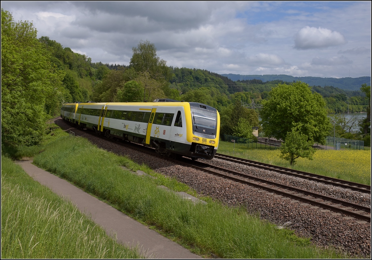 Traktionswandel am Hochrhein, der einzigen  Schweizer Dieselstrecke , die Schaffhausen mit Basel verbindet, sowie auch Rheinfelden AG, Stein-Säckingen.

612 136 und 612 112 im BW-Design bei Beuggen zwischen den nahegelegenen Kraftwerken Schwörstadt und Rheinfelden. Mai 2018. 
