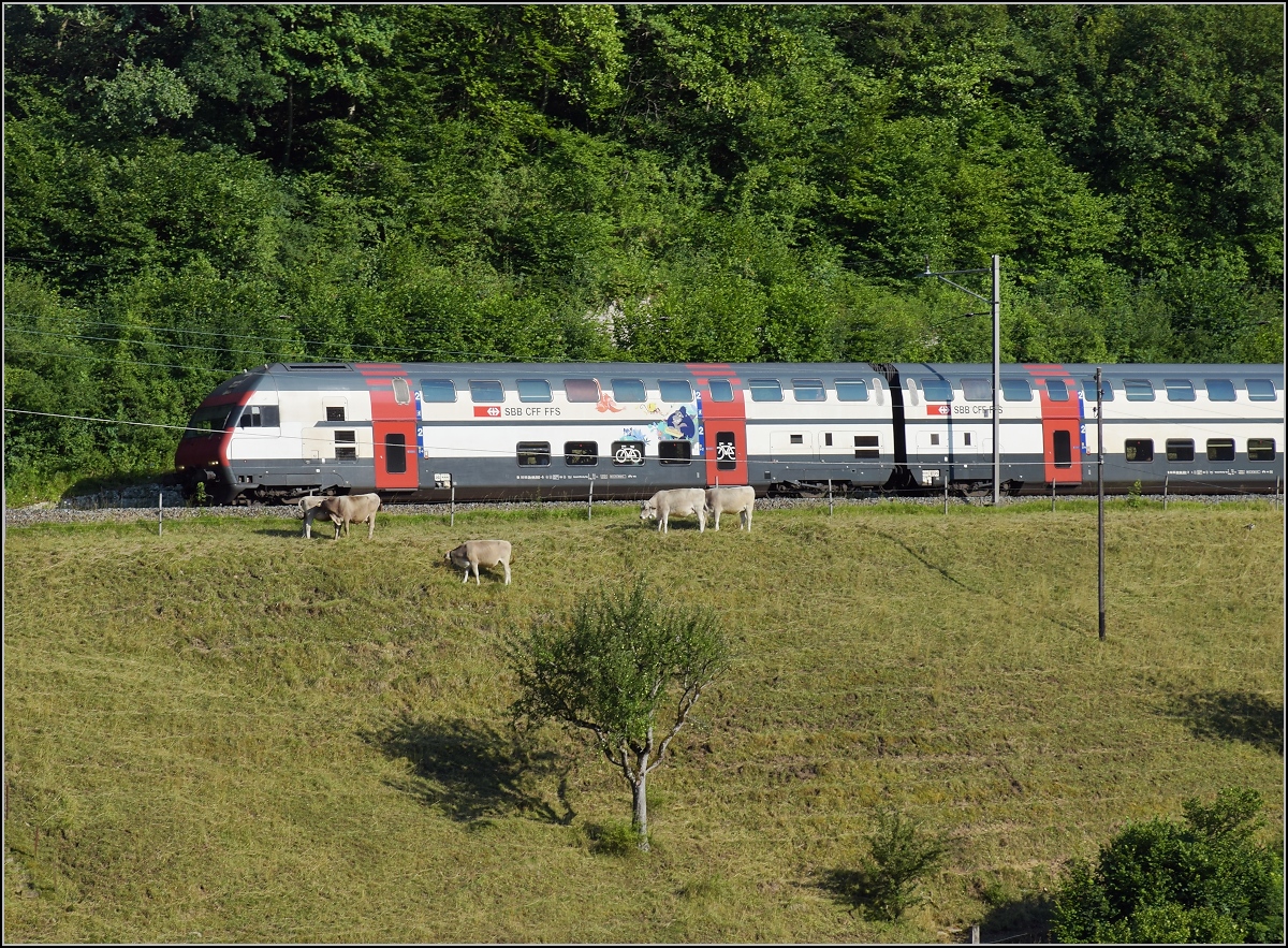Umleiterverkehr auf dem Läufelfingerli. Bahn 2000-Steuerwagen inmitten ländlicher Idylle. Rümlingen, Juli 2018.