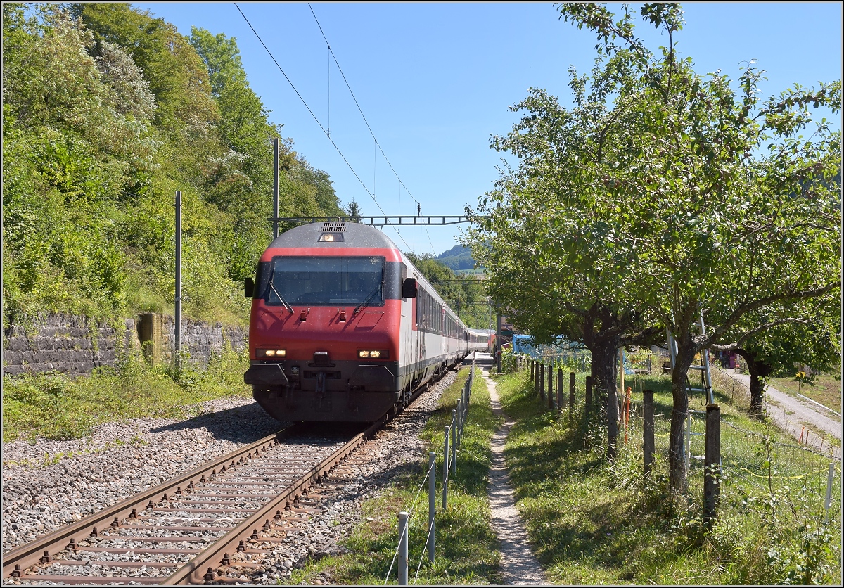 Umleiterverkehr auf dem Läufelfingerli. Den IC mit EW IV schiebt Re 460 021-9, wie im anderen Bild zu sehen. Sommerau, August 2018.