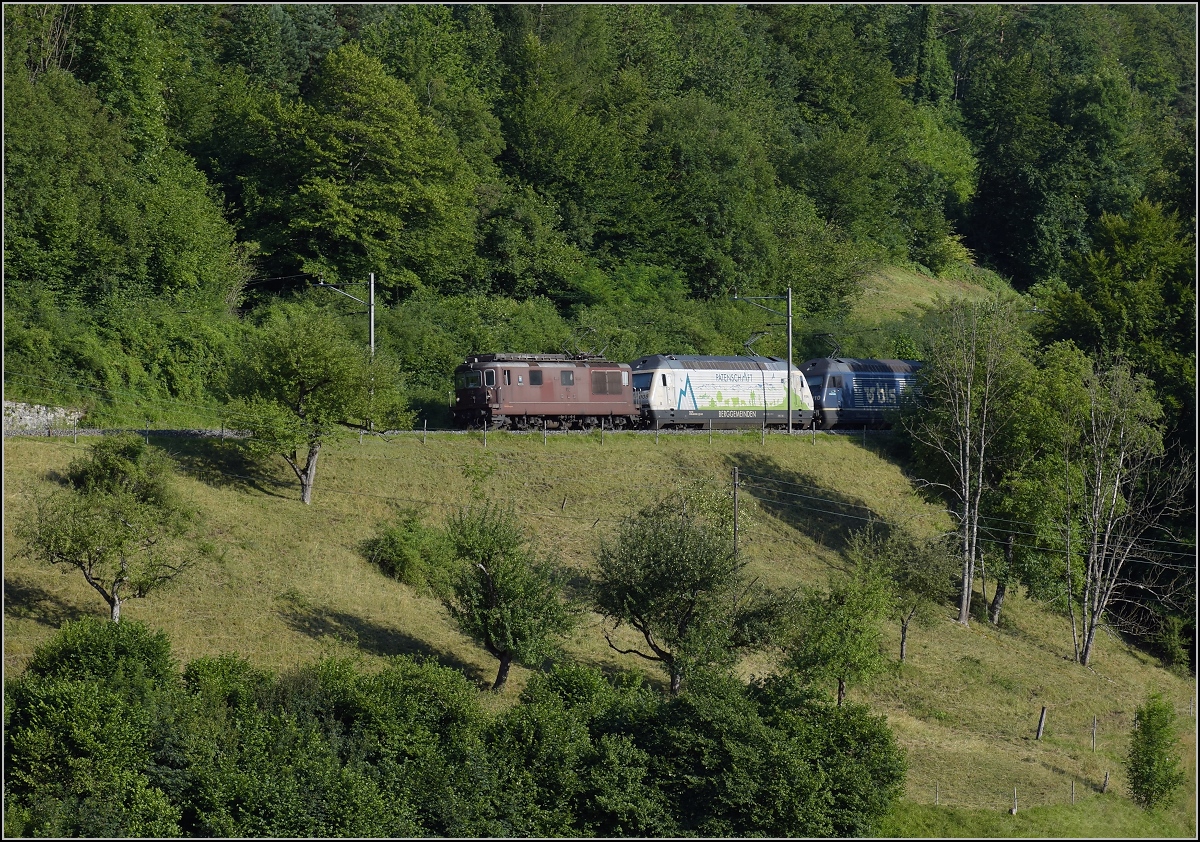 Umleiterverkehr auf dem Läufelfingerli. Re 425 172, Re 465 008  Berggemeinden  und Re 465 010 führen einen längeren Güterzug richtung Basel. Rümlingen, Juli 2018.