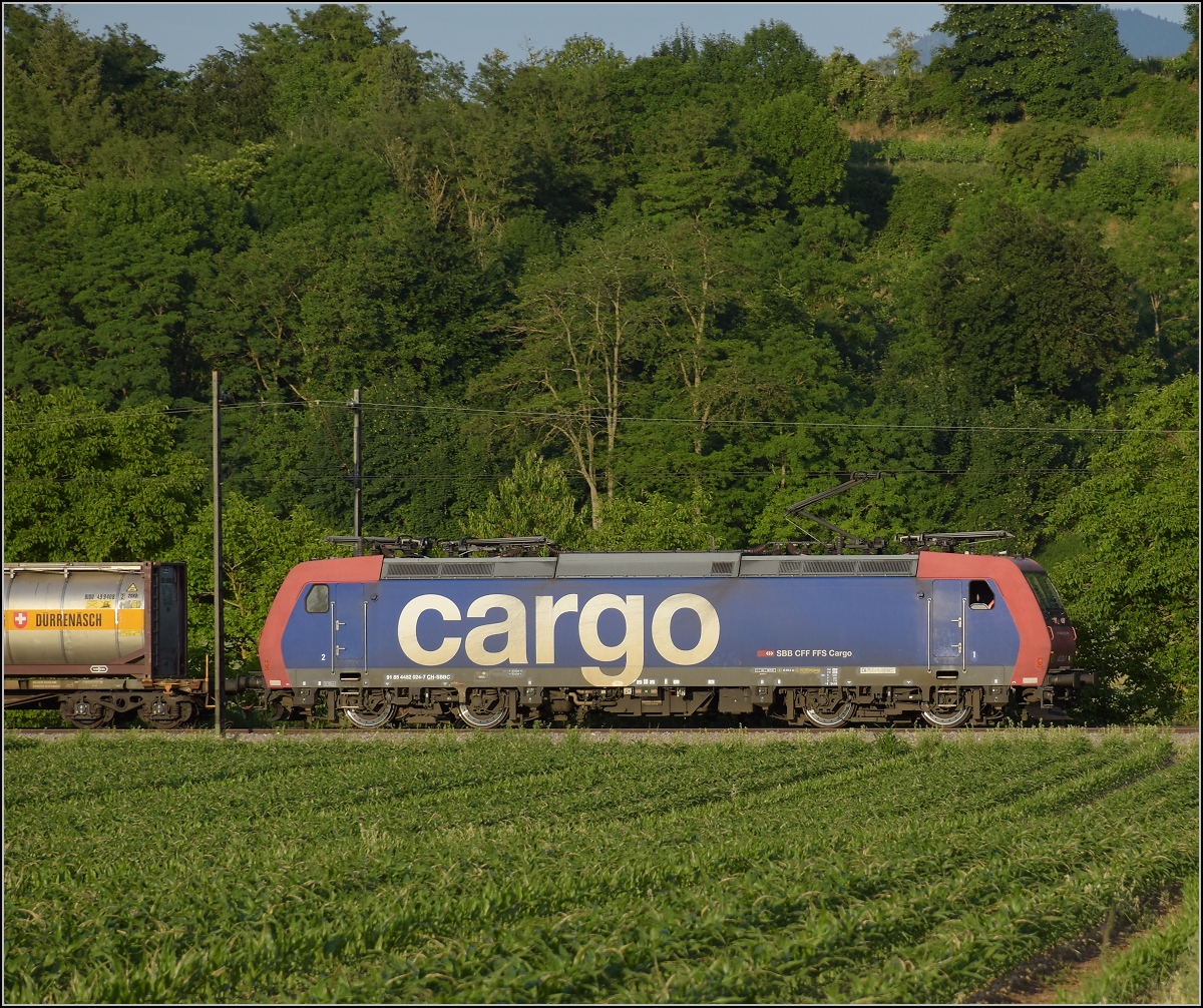 Zum Abschluss gab es an diesem Tag noch Re 482 024 der SBB Cargo Richtung Basel. Buggingen, Juni 2022.