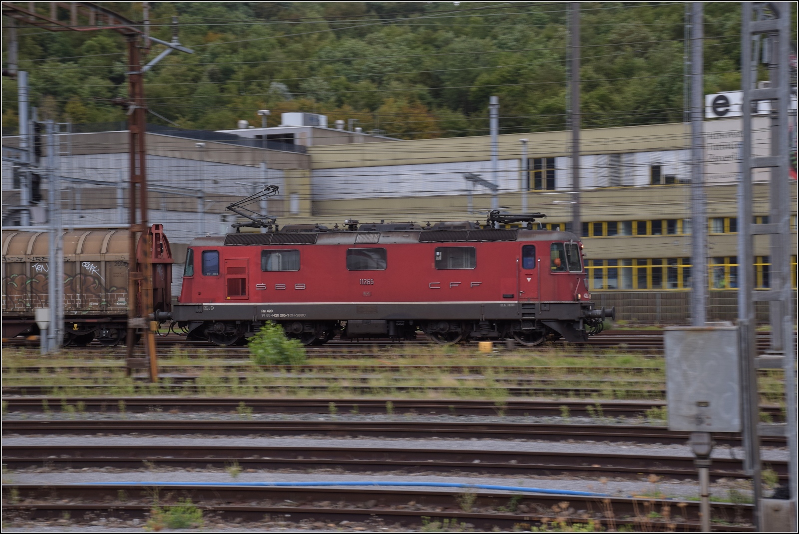 Depotfest Olten 2023.

Noch in freier Wildbahn eilt Re 4/4 11265 durch den zentralen Schweizer Bahnhof Olten. August 2023.