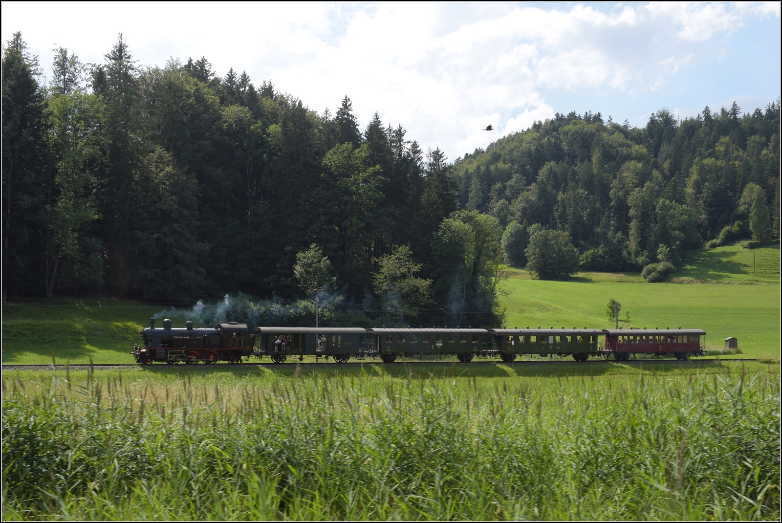 Fahrtag im Zrcher Oberland. 

Eb 3/5 der BT, heute durch den DLC betreut, mit ihrem Museumszug der DVZO bei Bussenthal. Juli 2023.