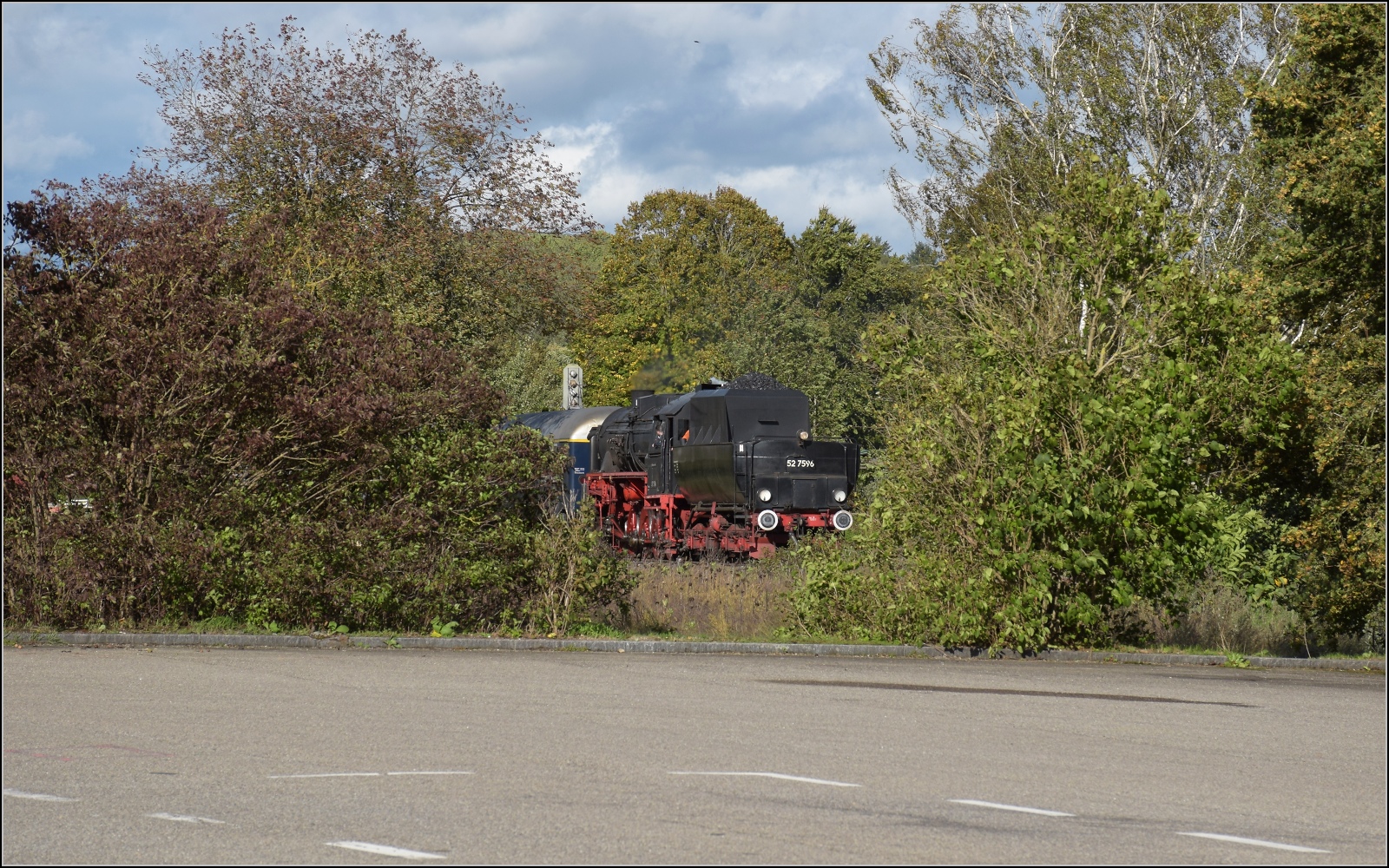 Schienenverkehr am Schienerberg. 

52 7596 mit ihrem EFZ-Sonderzug für die SEHR & RS auf Schmugglerpfaden durchs Gebüsch nach Ramsen. Oktober 2022.