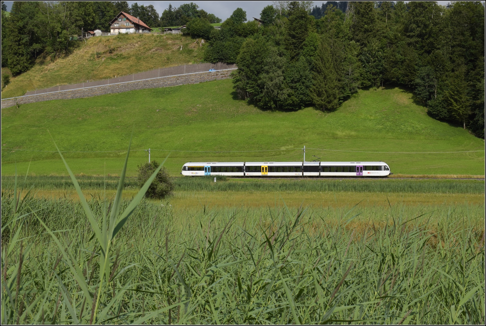 Turbo-GTW RABe 526 auf der Tösstalbahn zwischen Fischenthal und Gibswil. Juli 2023.