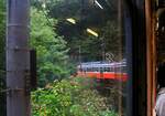 partnerbahn-hakone-tozan-tetsud/776028/so-gut-es-geht-aus-dem So gut es geht aus dem Fenster ein Eindruck vom Abstieg durch den dicht bewaldeten Berghang. Zuvorderst Triebwagen 110 (abgebrochen 2017). 7.Oktober 2014  