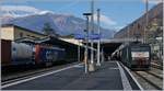 Nicht ganz günstig präsentierten sich die beiden SBB Re 474 mit Güterzügen von und nach Luino in Bellinzona, aber wenn schon einmal zwei Re 474 und erst noch in verschiedenen