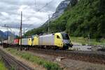 600-luzernzug-chiasso-gotthardbahn/873546/ausfahrt-von-der-kahler-tx-log Ausfahrt von der kahler TX Log U2-095 aus Erstfeld nach Göschenen am 7 Juni 2009.