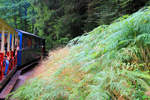 Typische Waldbahn-Atmosphäre auf der Chemin de Fer Forestier d'Abreschviller, mit Wagen 27  Orient Express  an erster Stelle.