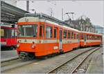 Der Trogener Bahn BDe 4/8 24 in St.