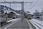 Ein BLS  MIKA  RABe 528 nach Bern zwischen zwei Lenkerpendel Be 4/4 (Serie 5000) in Zweisimmen.  Während der Zug rechts im Bild in die Lenk fahren wird, ist der andere Links im Bild zur Enttäuschung der Kunden der  Panoramic Express nach Montreux . 

15. Dezember 2022 