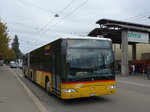 (175'621) - Eurobus, Arbon - Nr.