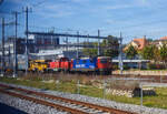 Die SBB Cargo Re 4/4 II – 11228  / Re 420 288-3  „Avanti Tutta! / Vorwärts.“ (91 85 4420 288-3 CH-SBBC) steht am 11 September 2023, bei Bern.