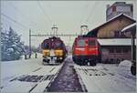 ae-6-6/835909/de-44-1661-und-ae-66 De 4/4 1661 und Ae 6/6 111416 'Glaurs' stehen im verschneiten Bahnhof von Beromünster. Analogbild vom März 1988