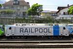 br-187/796939/seitenblick-auf-railpol-187-006-in Seitenblick auf Railpol 187 006 in SPiez am 5 Juni 2014.