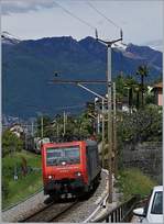 Die SBB Re 474 014 mit einem Güterzug bei San Nazzaro.