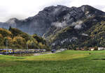 311312-interlaken-8211-lauterbrunnen-grindelwald/864432/berner-oberland-bahn-fremdkoerper-nachdem-die Berner Oberland Bahn, 'Fremdkörper': Nachdem die BOB im Prinzip ganz auf dreiteilige Fahrzeuge (Triebwagen und Steuerwagen) mit neuartiger Kupplung umgestellt hat, behielt sie noch zwei Module B + ABt, die auf die neue Betriebsart umgerüstet wurden. Diese werden sicherlich nächstes Jahr ausscheiden. Im Bild bei Wilderswil der Teil eines Zugs nach Lauterbrunnen mit Triebwagen 322, dem B 262 und dem ABt 414 (ehemals Regionalverkehr Bern - Solothurn); dahinter folgt der Zugsteil nach Grindelwald. 9.Oktober 2024   
