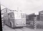 Tramways de Fribourg - beim Dépot Pérolles im Jahre 1963: Zwar kein Tram, aber auch Trolleybusse stecken ihre Nase aus demselben Tramgeleise-Tor hinaus. Hier Trolleybus 24 (Baujahr 1949). (Bitte um Entschuldigung, dass das Negativ zerschnitten worden ist). 