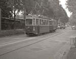 Die ehemalige Tramlinie 1 in Bern im Raum Brckfeld: Tramzug 172 mit Anhnger 224 kommt von der Endschlaufe Brckfeld her.