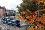 zuerich/716731/herbstliches-zuerich-tram-2000-nr2042-universitaet Herbstliches Zürich: Tram 2000 Nr.2042, Universität Irchel, 17.Oktober 2020 