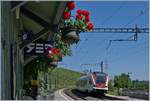 Der SBB RABe 522 201 erreicht von Genève kommend den Blumen geschmückten Halt Russin. 
19. Juni 2018