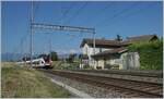 Hier soll der Zug im Hintergrund belieben, das Bild gilt der alten Haltestelle von Bourdigny, die hier in ihrer ganzen Schönheit zu sehen ist.

19. Juli 2021