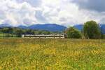 Die Broyetallinie: Domino-Zug mit Triebwagen 560 238 zwischen Palézieux Village und Palézieux. 20.Mai 2021 