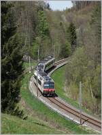Landschaftlich sehr schön ist der Einschnitt zwischen Courtepin und Pensier auf der TPF Strecke Ins - Fribourg. Im Bild ein SBB RBDe 560  Domino  auf dem Weg in Richtung Murten. 

19. April 2022