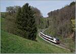 Landschaftlich sehr schön ist der Einschnitt zwischen Courtepin und Pensier auf der TPF Strecke Ins - Fribourg.

Im Bild ein SBB RBDe 560  Domino  auf dem Weg in Richtung Murten. 

19. April 2022