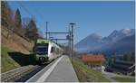 Weissenburg: Der Regionalzug nach Zweisimmen fährt ein. Da ich mit dem RABe 535 103 nach Zweisimmen fahren möchte und die Haltewunschtaste gedrückt habe, wird der Zug auch anhalten. 

25. Nov. 2020