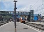 In Bellinzona begegnen sich die beiden SOB  Treno Gotthardo  von und nach Locarno. 

23. Juni 2021