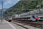 Der SOB RABe 526 106/206 ist als  Treno Gotthardo  nach Locarno unterwegs und erreicht Bellinzona.