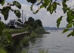 Unbeeindruckt von dem am Bodensee entlangfahrenden GTW, unterwegs als S8 23856 von Rorschach nach Schaffhausen, sucht der Schwan kopfber am Seegrund nach etwas Fressbarem (Nhe Mannenbach, 28.05.2012).