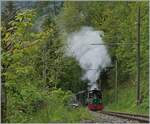 Festival Suisse de la vapeur (Schweizer Dampffestival 2023) - Die beiden kleinen Dampfloks G 2/2 N° 4  Rimini  und G 3/3 N° 5 mühen sich kurz nach Chaulin mit einem Zug in Richtung