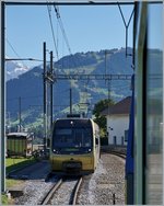 Unser Regionalzug Zweisimmen Montreux kreuzt in Gruben den  Lenker Pedel  Bt Be 4/4 Bt welcher im Zweistundentakt Lenk - Rougemont - Lenk fährt.