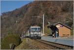 Eine MOB GDe 4/4 erreicht mit ihrem Panoramic-Express auf dem Weg von Montreux nach Zweisimmen die Haltestelle Sonzier und wird hier ohne Halt ducchfahren. 
28. Dez. 2016