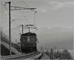 Ein MOB Be 4/4 (ex SNB) im Regionalzugeinsatz oberhalb von Montreux.
17. Feb. 2014