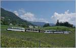 Statt des erwarteten  neuen  MOB Panoramic Express kam dieser sonderbaren Zug: Die GDe 4/4 6004 mitten im Zug mit den zwei unterschiedlichen Steuerwagen und zwei weiteren Panoramawagen ist als RE 2228 von Montreux nach Zweisimmen bei Planchamp unterwegs. 

18. Mai 2020